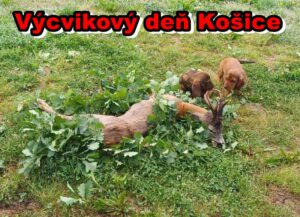 Výcvikový deň Košice 25.5.2024